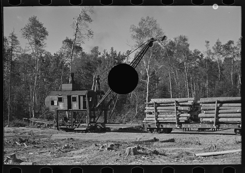 [Untitled photo, possibly related to: Loading device moving railroad cars full of timber at camp near Effie, Minnesota] by…