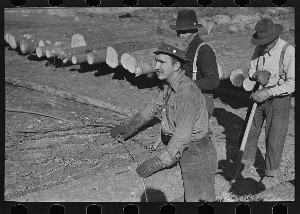Lumberjack adjusting loading chain around log at camp near Effie, Minnesota by Russell Lee