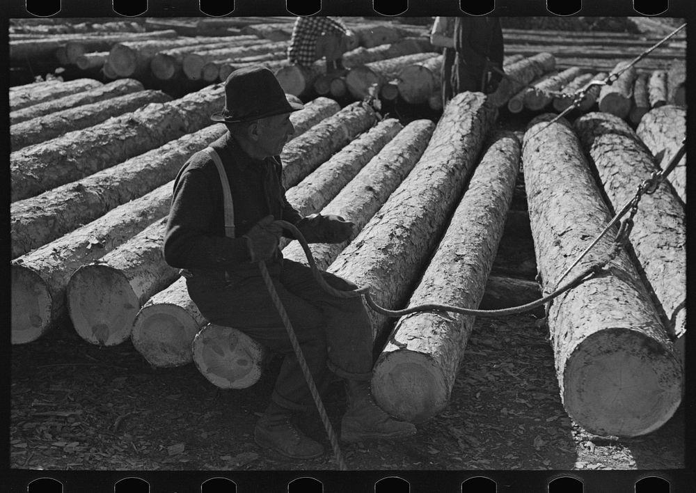 Lumberjack waiting for load of logs to be pulled away near Effie, Minnesota by Russell Lee