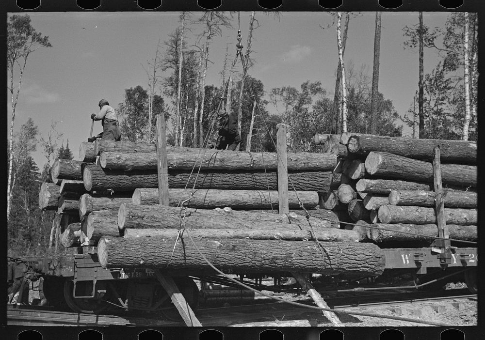 Logs on skidway just before being loaded on railway car, near Effie, Minnesota by Russell Lee