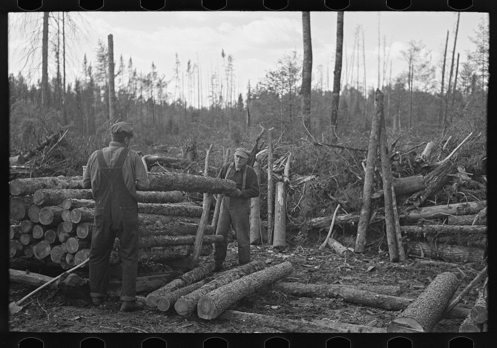 Piling logs in the woods, at camp near Effie, Minnesota by Russell Lee