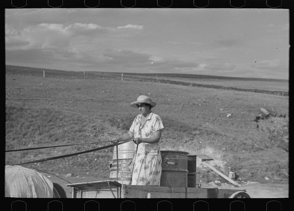 [Untitled photo, possibly related to: Mrs. Olie Thompson driving wagon loaded with water barrels. North Dakota] by Russell…