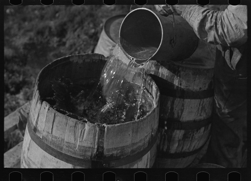 Filling barrels with spring water to be used on farm of Herman Gerling, Wheelock, North Dakota by Russell Lee