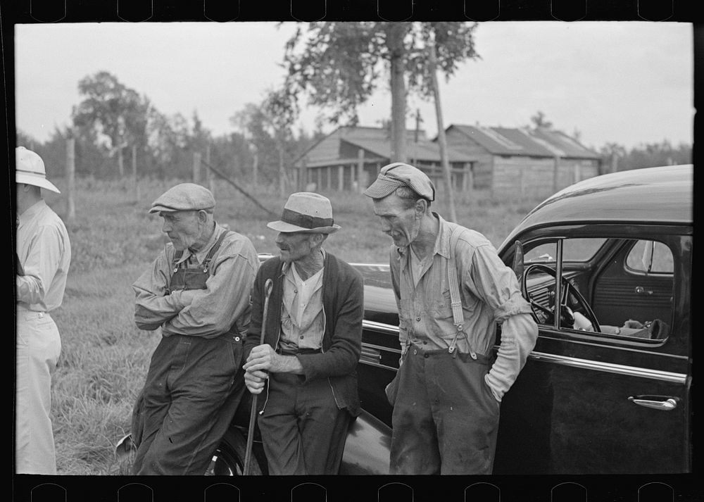 Group of farmers at S.W. Sparlin auction sale, Orth, Minnesota by Russell Lee