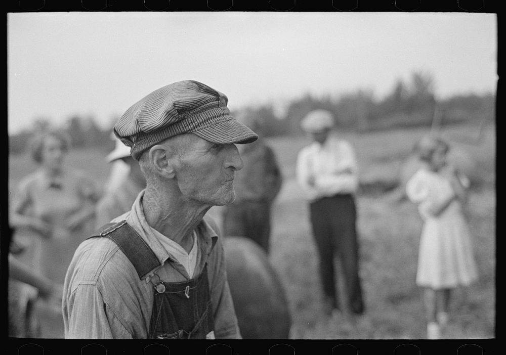 An old farmer at S.W. Sparlin sale, Orth, Minnesota by Russell Lee
