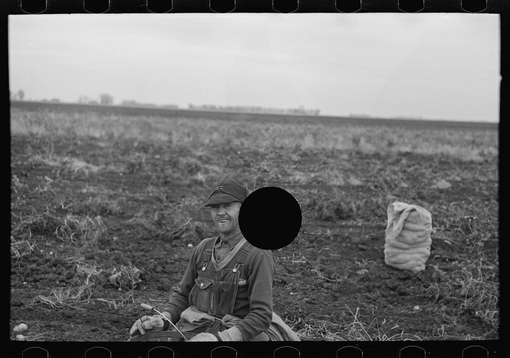 [Untitled photo, possibly related to: Potato worker, near East Grand Forks, Minnesota] by Russell Lee