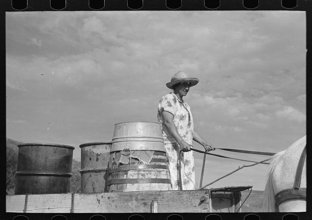 [Untitled photo, possibly related to: Mrs. Olie Thompson about to drive home from the spring with barrels full of water.…