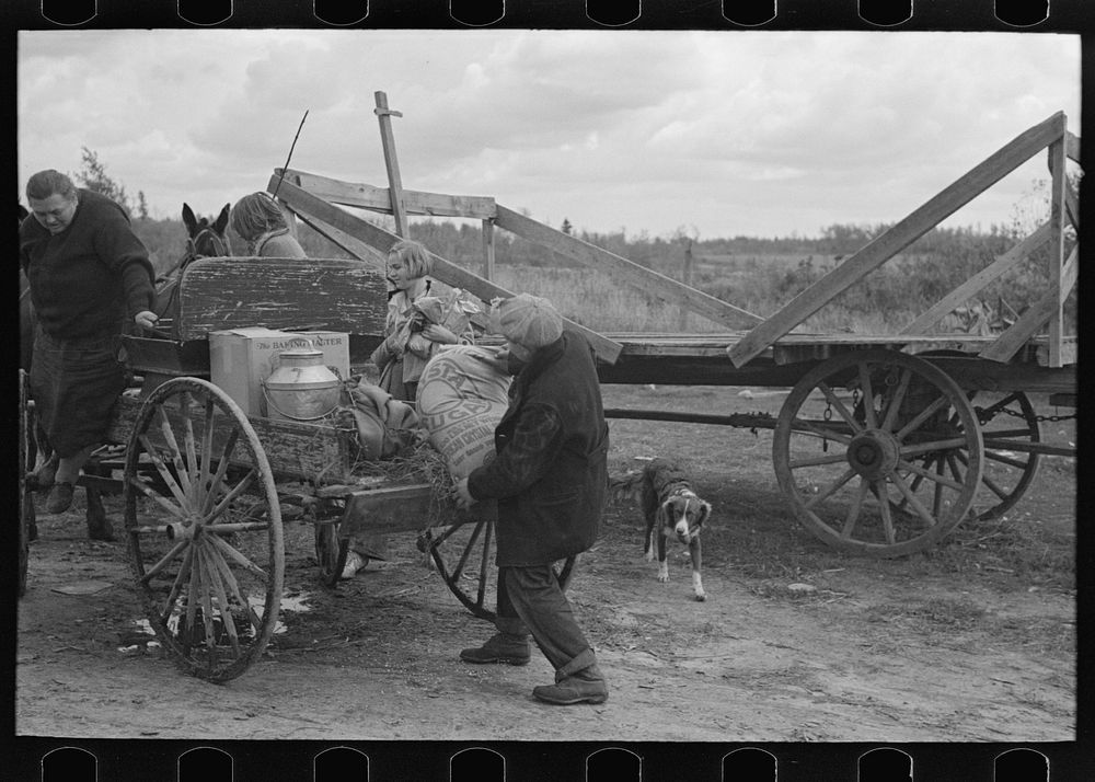 Unloading supplies from wagon just returned from town, farm near Northome, Minnesota by Russell Lee