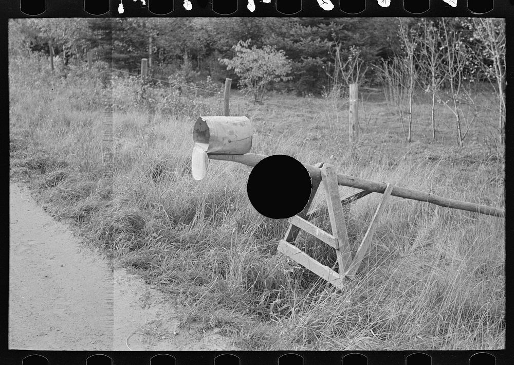 [Untitled photo, possibly related to: Mail box of cut-over farm, near Northome, Minnesota] by Russell Lee