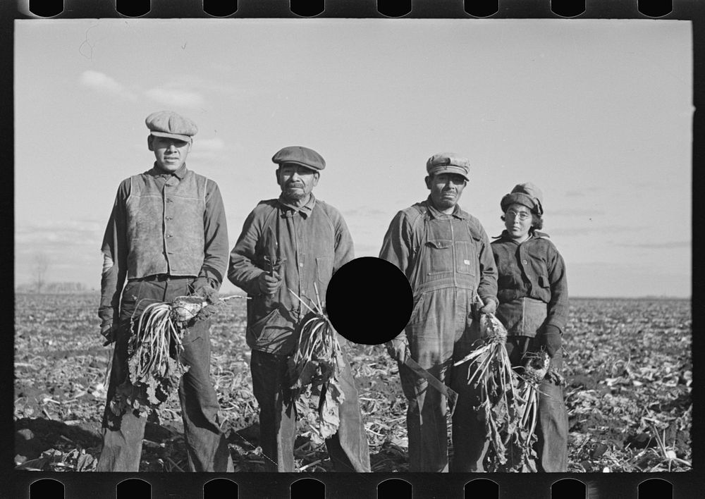 [Untitled photo, possibly related to: Mexican sugar beet worker's family near East Grand Forks, Minnesota] by Russell Lee