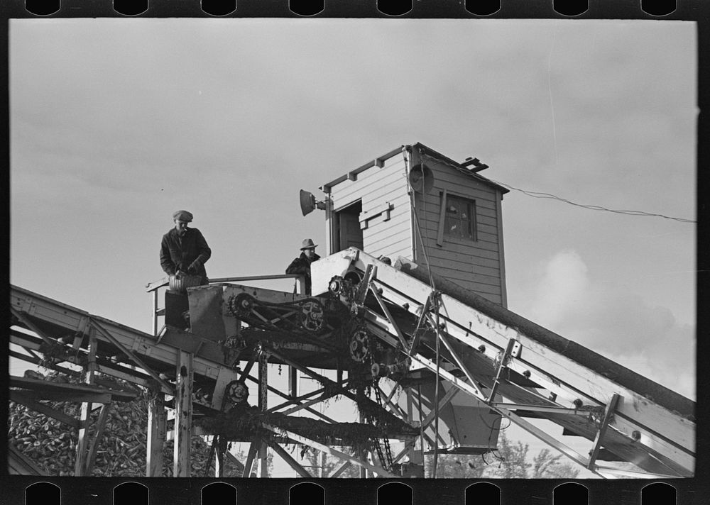 Control and sampling tower of beet unloading machine, East Grand Forks, Minnesota by Russell Lee