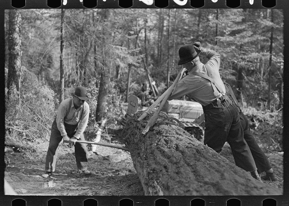 Using the peavy in handling timber, at camp near Effie, Minnesota by Russell Lee