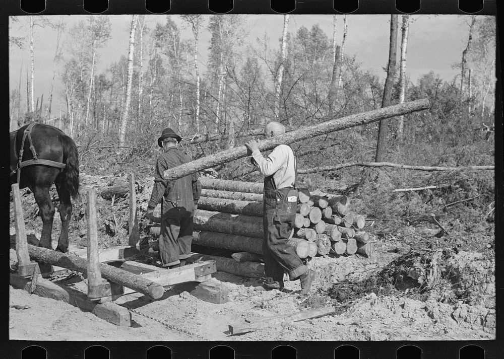 Lumberjack carrying a log at camp near Effie, Minnesota by Russell Lee