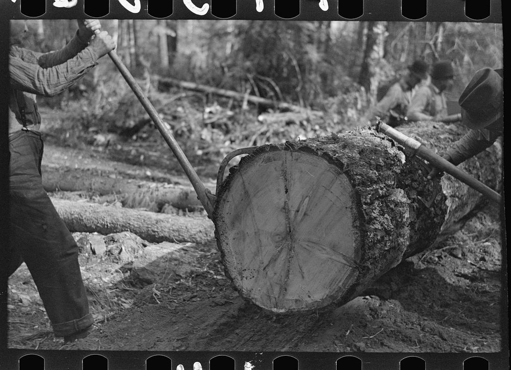 Use of peaveys in manipulating timber at camp near Effie, Minnesota by Russell Lee