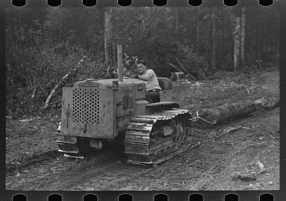 Caterpillar drawing logs through the woods at camp near Effie, Minnesota by Russell Lee