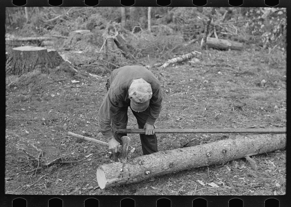 [Untitled photo, possibly related to: Marking pulpwood for cutting into lengths at camp near Effie, Minnesota] by Russell Lee