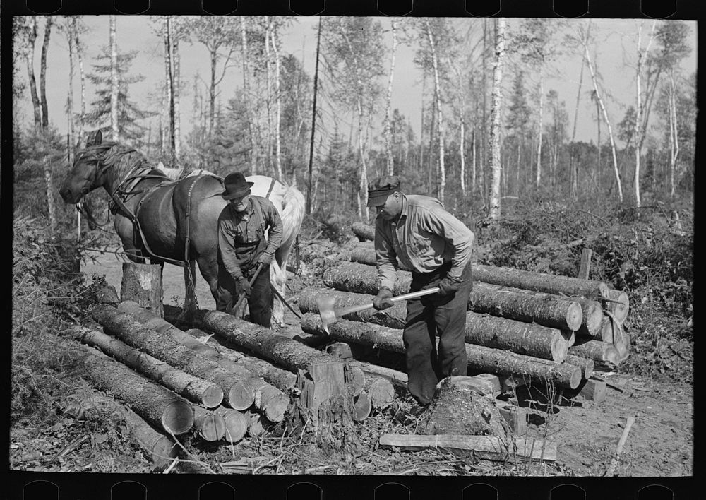 Piling timber at camp near Effie, Minnesota by Russell Lee