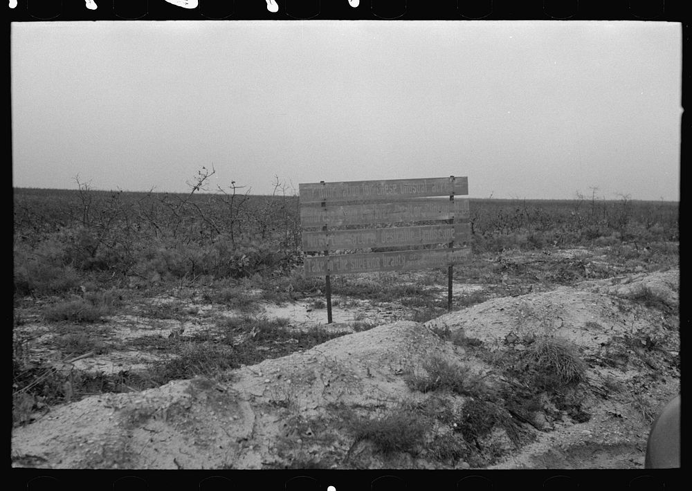 [Untitled photo, possibly related to: Sign advertising land for farm purposes, pine area, New Jersey] by Russell Lee
