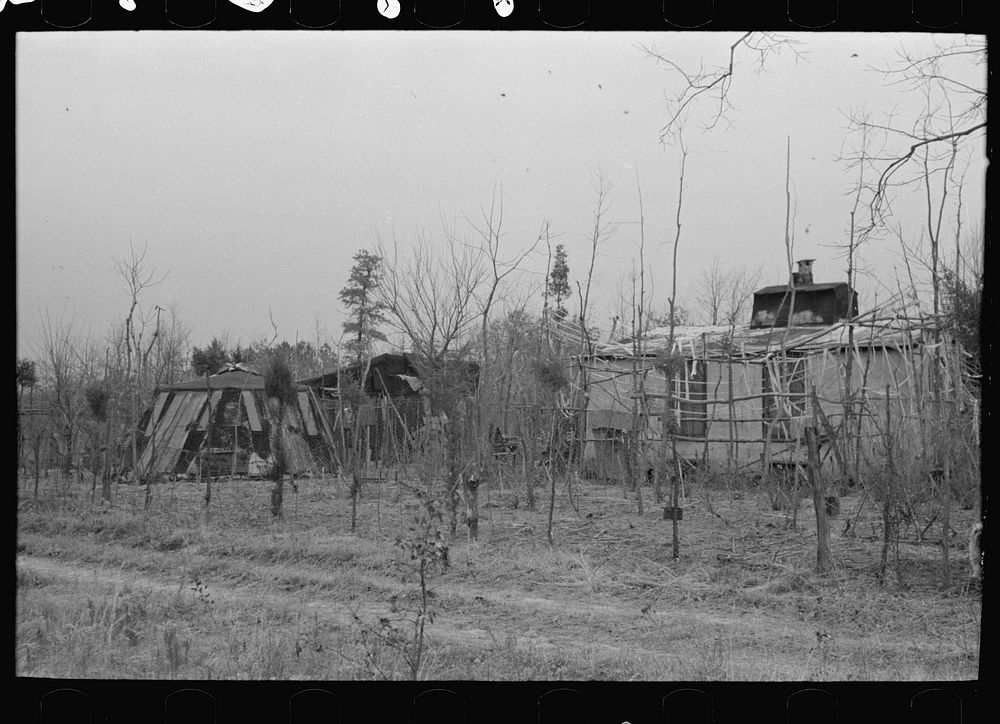 [Untitled photo, possibly related to: Farmhouse and yard, pine area, New Jersey] by Russell Lee