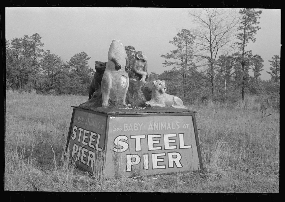 [Untitled photo, possibly related to: Statue group of animals advertising menagerie at steel pier, Atlantic City, New…