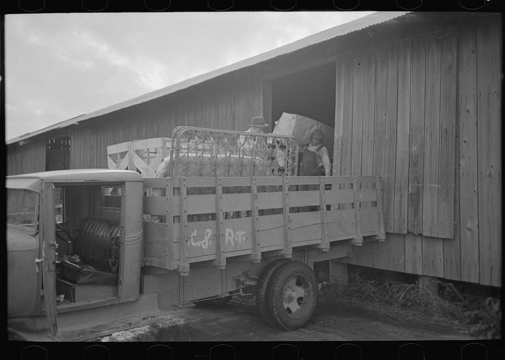Southeast Missouri Farms. Loading new furniture, bought by FSA (Farm Security Administration) loans, on truck at warehouse…