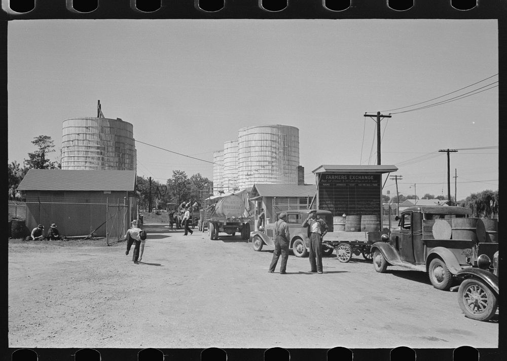 [Untitled photo, possibly related to: Farmer waiting in line for load of liquid feed, Owensboro, Kentucky] by Russell Lee