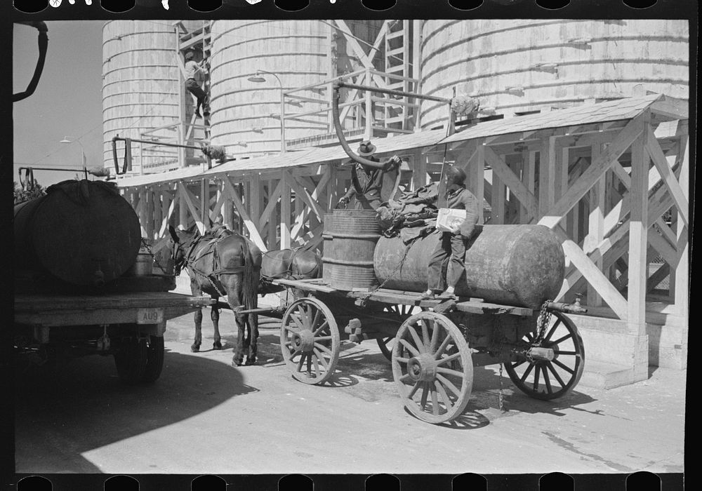 [Untitled photo, possibly related to: Farmer at liquid feed loading station, Owensboro, Kentucky] by Russell Lee