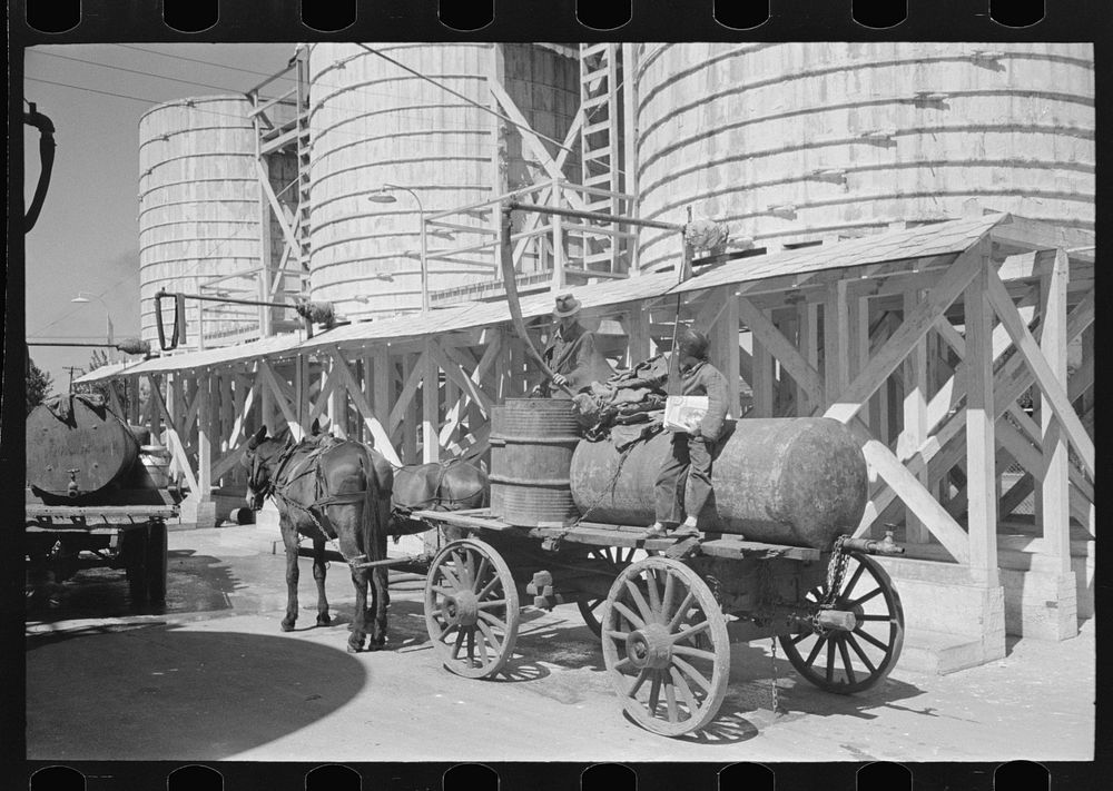[Untitled photo, possibly related to: Farmers leaving liquid feed loading station, Owensboro, Kentucky] by Russell Lee