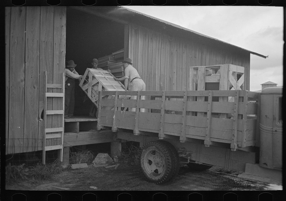 [Untitled photo, possibly related to: Southeast Missouri Farms. Loading cook stove on to truck for transporting to new farm…