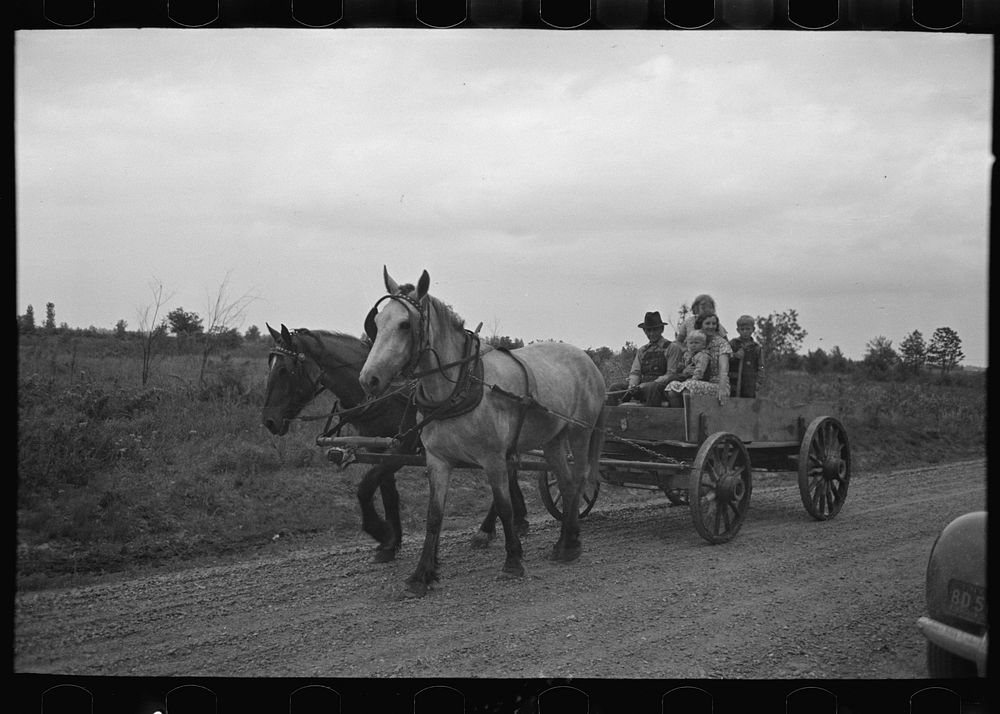[Untitled photo, possibly related to: Southeast Missouri Farms. FSA (Farm Security Administration) client sitting on load of…