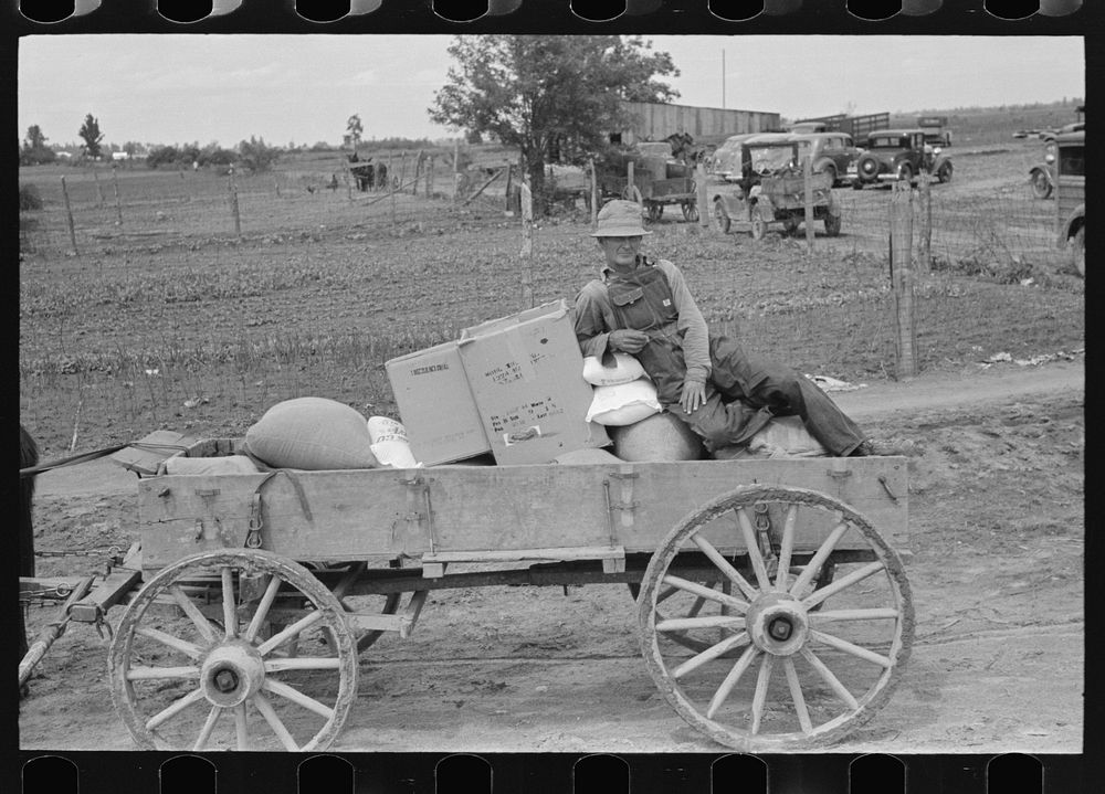 [Untitled photo, possibly related to: Southeast Missouri Farms. FSA (Farm Security Administration) client sitting on load of…