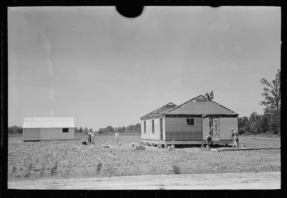 [Untitled photo, possibly related to: Southeast Missouri Farms Project. Fieldhouse erection. Removing gin pole after gable…