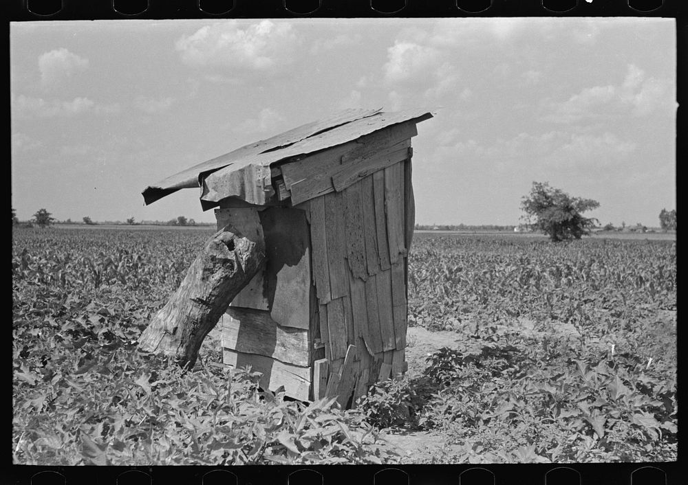 Privy of sharecropper, New Madrid County, Missouri by Russell Lee