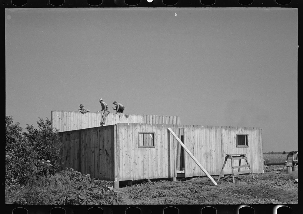 [Untitled photo, possibly related to: Erecting panels of prefabricated barn, Southeast Missouri Farms] by Russell Lee