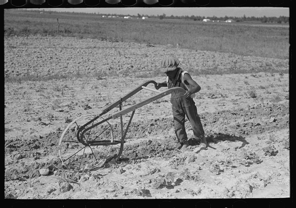 [Untitled photo, possibly related to: New Madrid County, Missouri. Child of sharecropper cultivating cotton] by Russell Lee