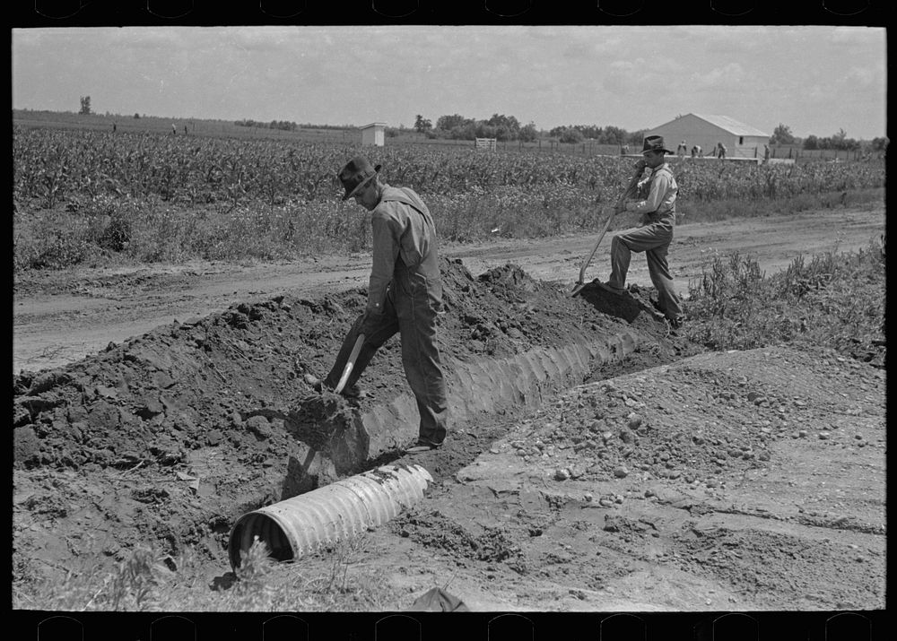 [Untitled photo, possibly related to: Southeast Missouri Farms Project. Fitting culvert between main road and farm drive] by…