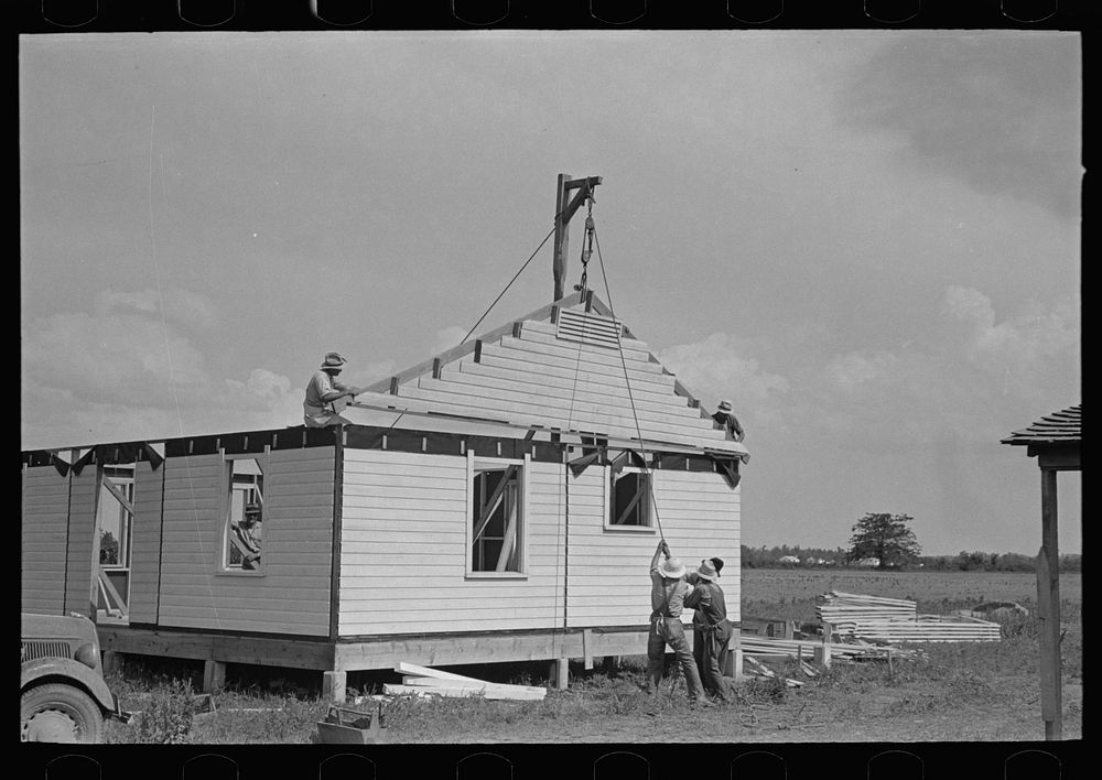 Southeast Missouri Farms Project. House erection. Lowering gable end into place by means of gin pole by Russell Lee