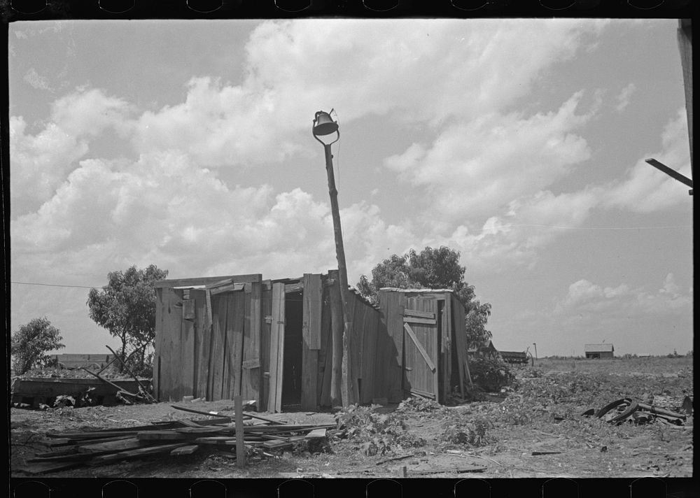 [Untitled photo, possibly related to: Privy on sharecropper's old farm unit, Southeast Missouri Farms] by Russell Lee