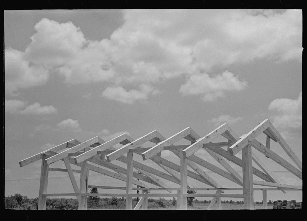 Southeast Missouri Farms Project. View of roof construction of shop assembled chicken house by Russell Lee