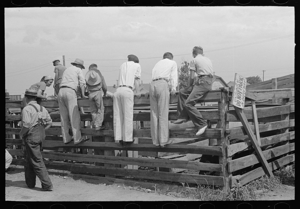 Farmers and spectators examining cattle in pen, Sikeston, Missouri, auction by Russell Lee