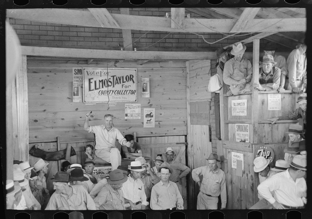 Auction sale, Sikeston, Missouri by Russell Lee