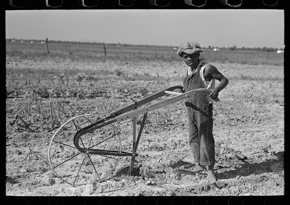 [Untitled photo, possibly related to: New Madrid County, Missouri. Child of sharecropper cultivating cotton] by Russell Lee