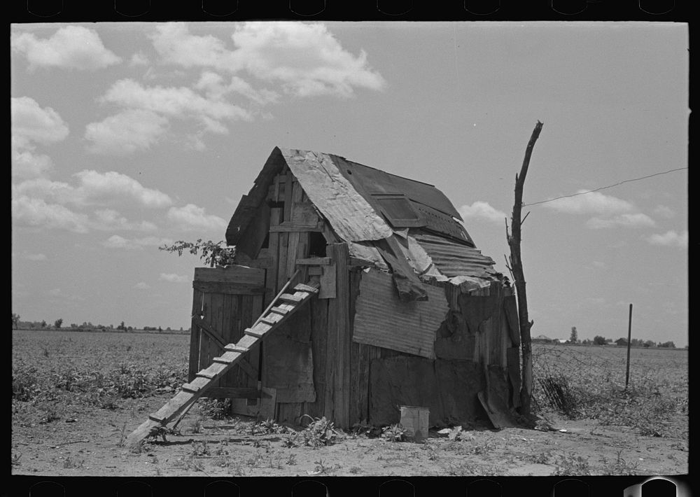 Chicken house, New Madrid County, Missouri by Russell Lee