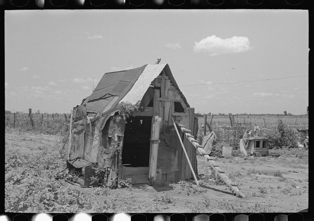 [Untitled photo, possibly related to: Chicken house, New Madrid County, Missouri] by Russell Lee