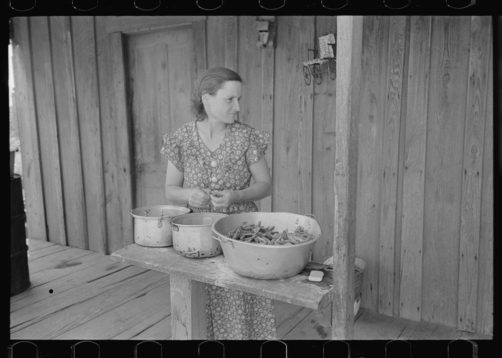 Wife of FSA (Farm Security Administration) client shelling peas on porch of old shack home, New Madrid County, Missouri by…
