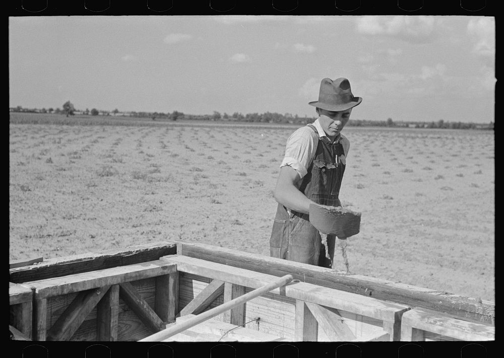 [Untitled photo, possibly related to: Food storage. Beginning to pour concrete for walls. Southeast Missouri Farms Project]…