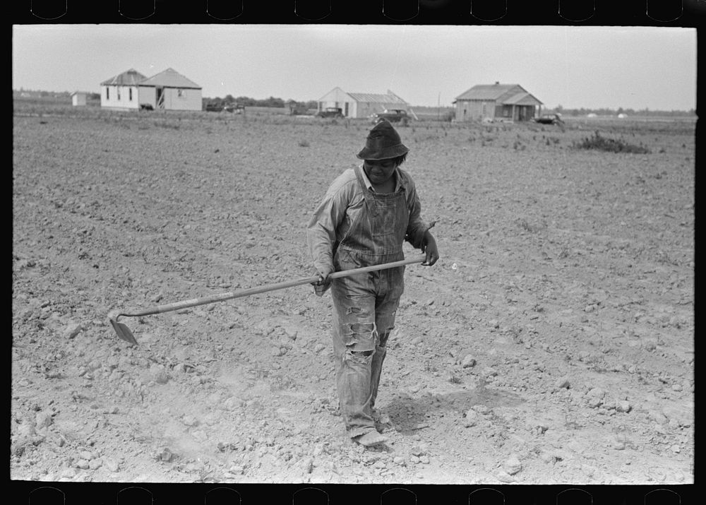 [Untitled photo, possibly related to: a cotton worker, New Madrid County, Missouri] by Russell Lee