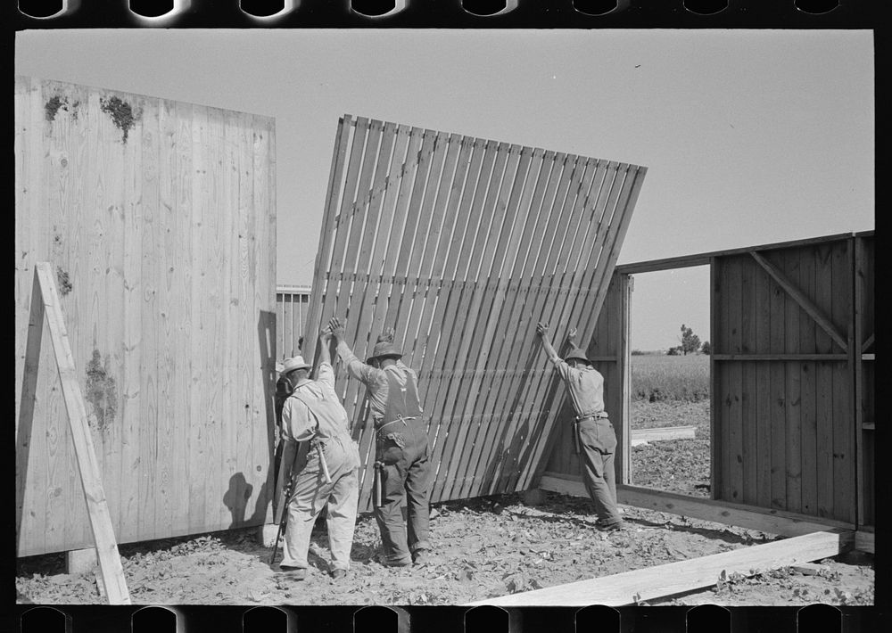 Barn erection. Raising interior panel at corn crib corner at the barn. Southeast Missouri Farms Project by Russell Lee