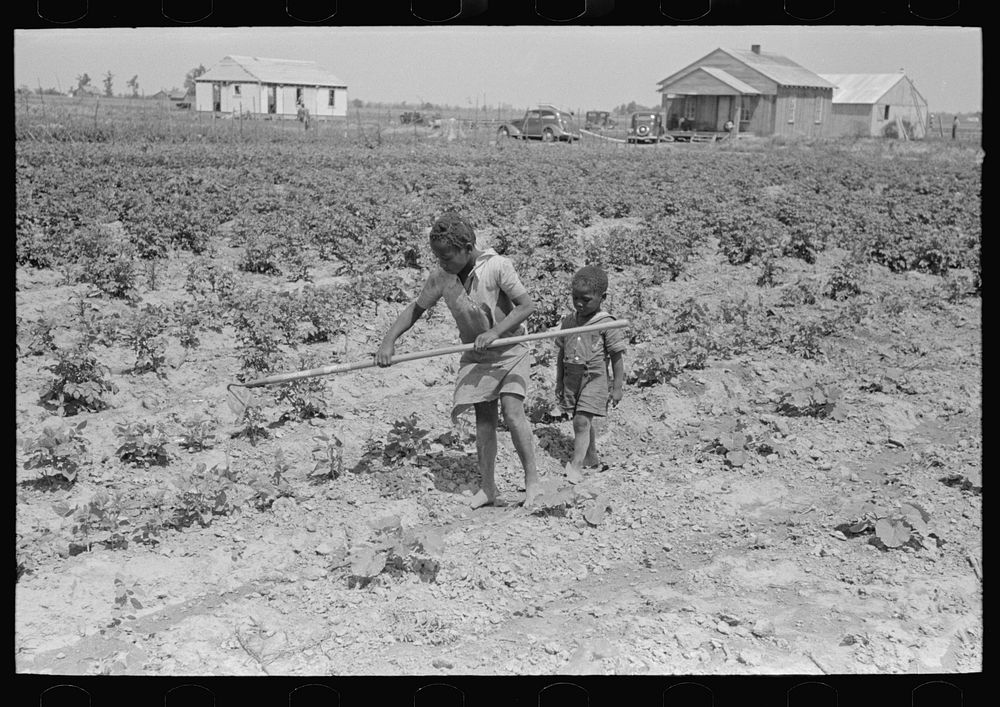 [Untitled photo, possibly related to: New Madrid County, Missouri. Sharecropper's child working in garden, Southeast…