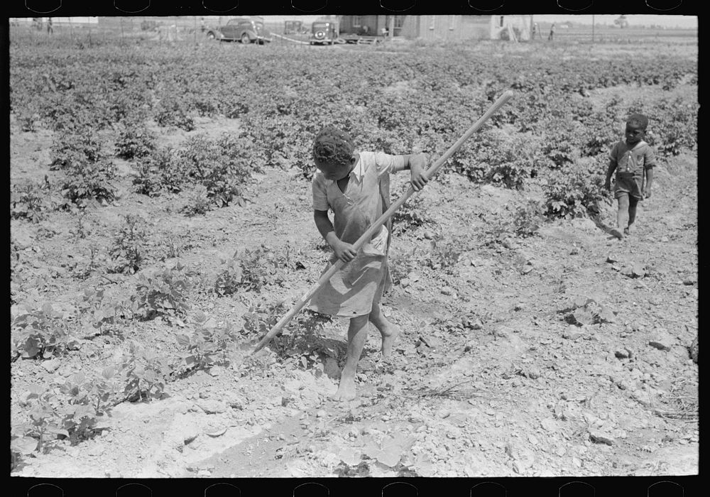 New Madrid County, Missouri. Sharecropper's child working in garden, Southeast Missouri Farms by Russell Lee